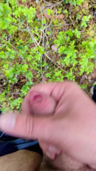 Caliente en el bosque