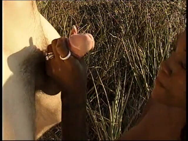 Cumming Soon: Un couple interracial coquin aime le sexe en plein air...