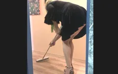 Cleaning the House