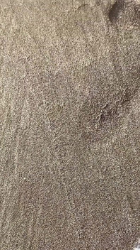 Tim Blesh Cumshot Outdoor on the Beach