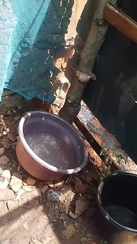 Chuveiro ao ar livre - experiência africana com minha garota negra