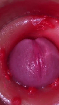 Kamera dalam pepek, sudut pandangan pertama Cervix, creampie