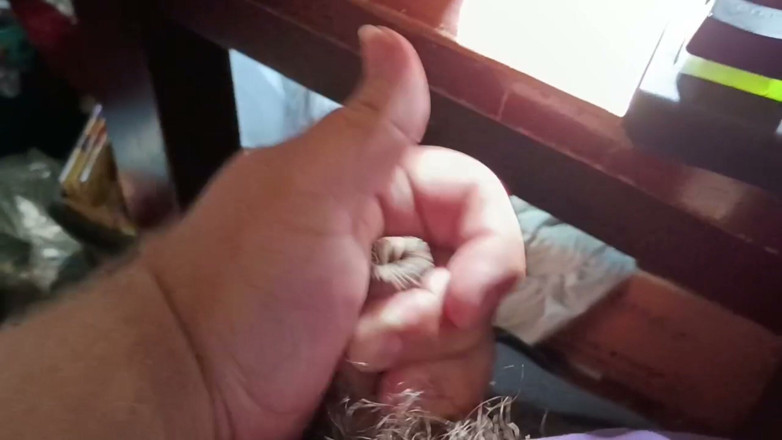 Alessa Doll Lover: Cumming in the Daylight