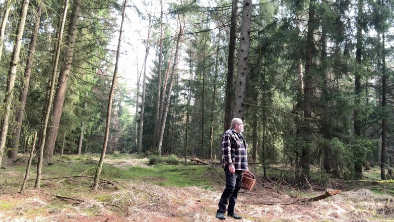 Buxte extreme: Forest Walk, Spring and a Lot of Fun Afterwards!