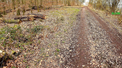 Bouncy Tits Action: 手淫游戏 27 - 尽量不要射精