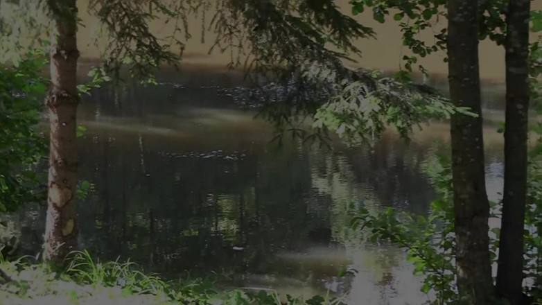 Popp Sylvie: Il sesso al lago