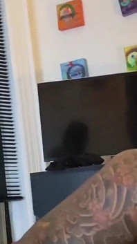 Two European Uncut Cocks Breed Tasty Black Ass