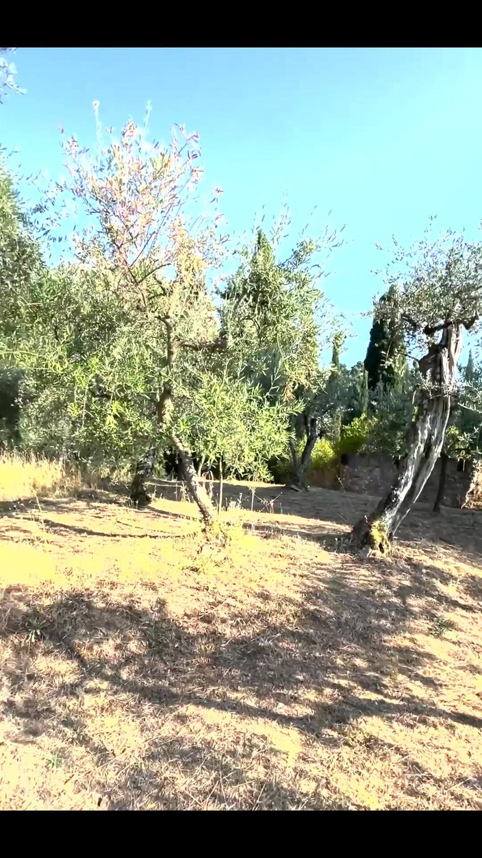 DaringKiara: Oggi voglio portarti in un posto davvero speciale che ho...