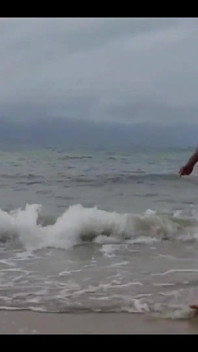 Eu conheci dois gatos na praia e fiz com eles ali mesmo