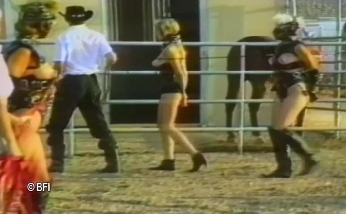 House of lords and mistresses in the spanking zone: Pet girls training