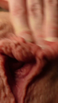 Nahaufnahme Muschi Reiben Und Masturbation Fingern