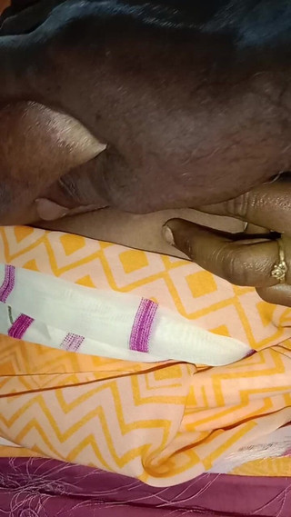 Tamil Anti Uma: 夫の留守中に近所のおばさんから電話がかかってきたので、私は彼女のマンコを指マンしに行きました