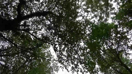 Deutschland porn: vyabhichaari