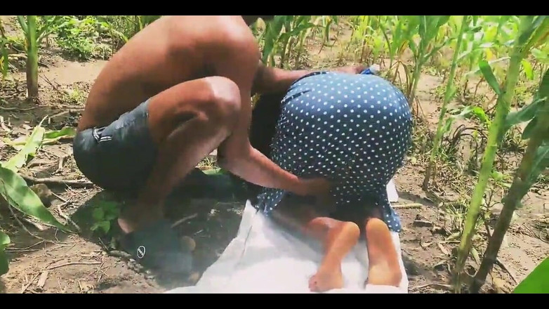 Showkee: Fazenda de quatro