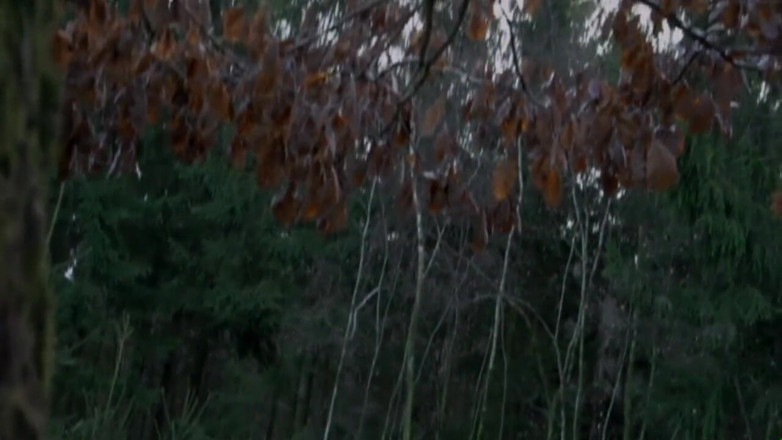 Deutschland porn: Head forester - Scene #05