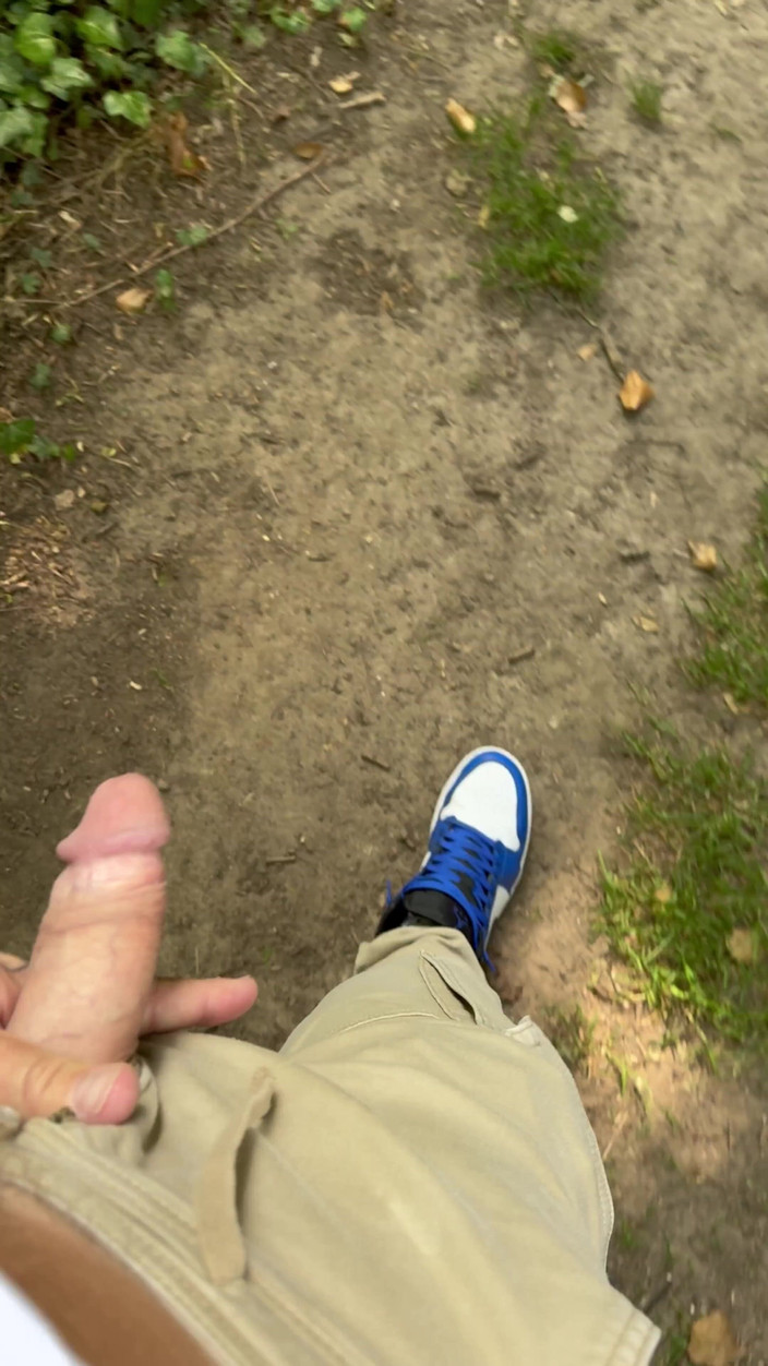 mekcho92000: Promenade dans la forêt