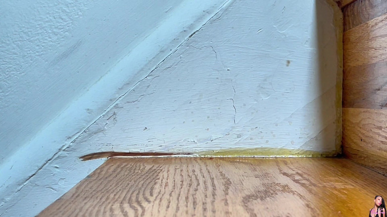 Pink Foxx: 계단을 오르가며 걷는 중