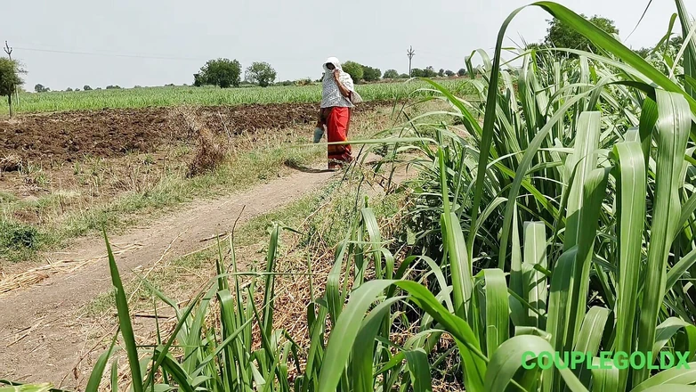 Sexy Komal: She Was Openly Washing Her Pussy in the Sugarcane Field