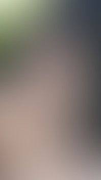 2482529