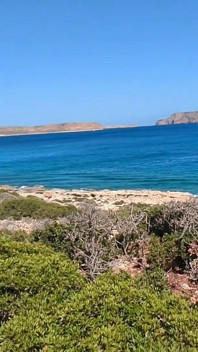 Pov deepthroat in una spiaggia pubblica - ragazza asiatica cattiva con pompino all'aperto e cazzo in gola