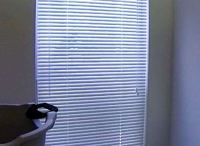 Black Jass: 흑형 대물 에 따먹히는 겸둥이 누비안 소녀