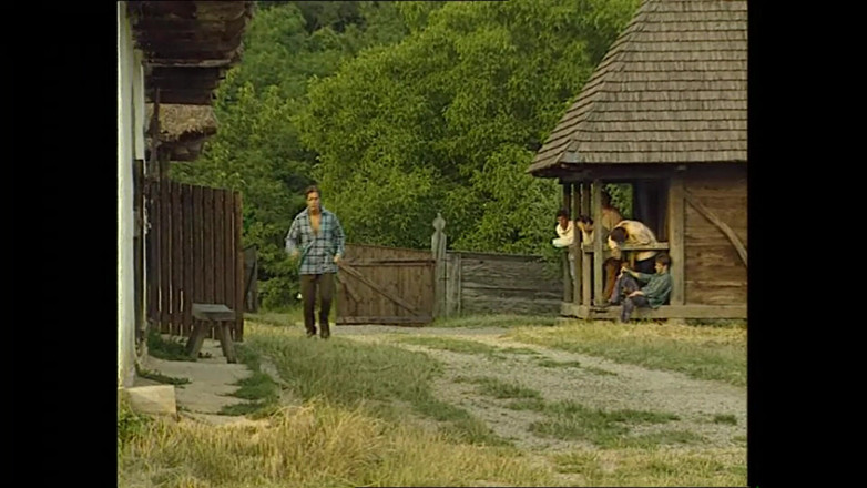MMV TV - our best full movie: Ošklivá děvka prosí o drsný trest za kozy