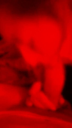 Marian sofar: O melhor em chupar pau!!