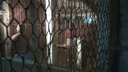 Hot Pornstars: Юная брюнетка сосет член старого извращенка в конюшне
