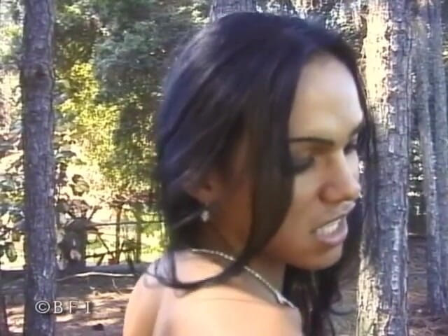 Trans Desire Underground: Trans affairs 6
