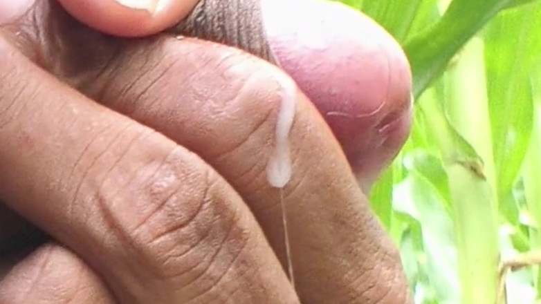 rkhydzstvcc: Worldwide Viral Desi Hunk Solo Action Vol 13 - Premium Faceless Amateur...