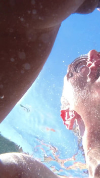 Distracție interrasială lesbiană sexy în piscină