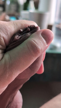 Throbbing