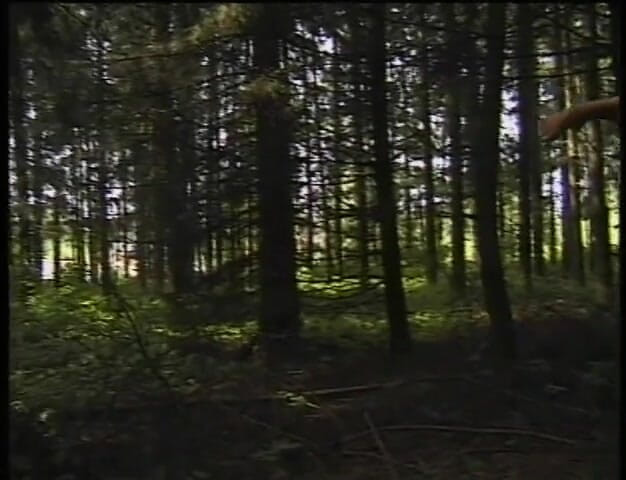 MMV Films and Clips XXX: Konečná destinace zlá holka (celý film)