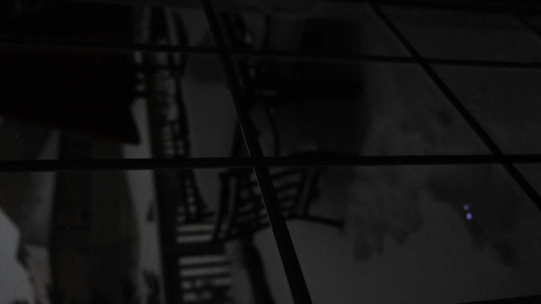 barenakedboy: スノーバウンド・スタッド:ハーネス付き、ハード、アンリーシュド