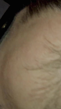 Legolas Impregnates My Pussy-mouth Plan 640