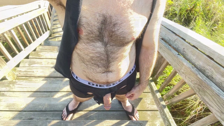 Hairy Wolfe bator: Chlupatý bator side honění exponovat ptáka dong penis péro