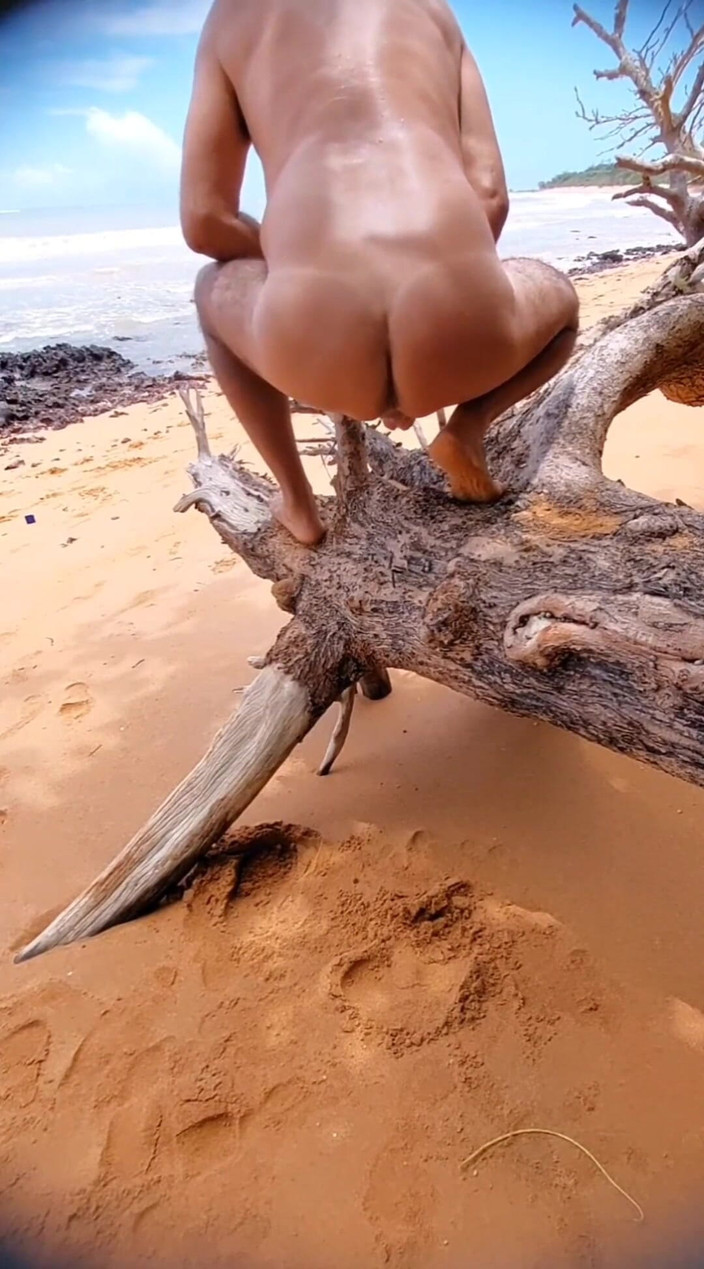 Ladysilvas: Ladysilva