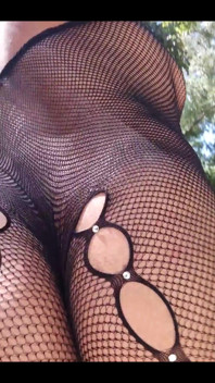 I Love Nets, Lace, Sheer
