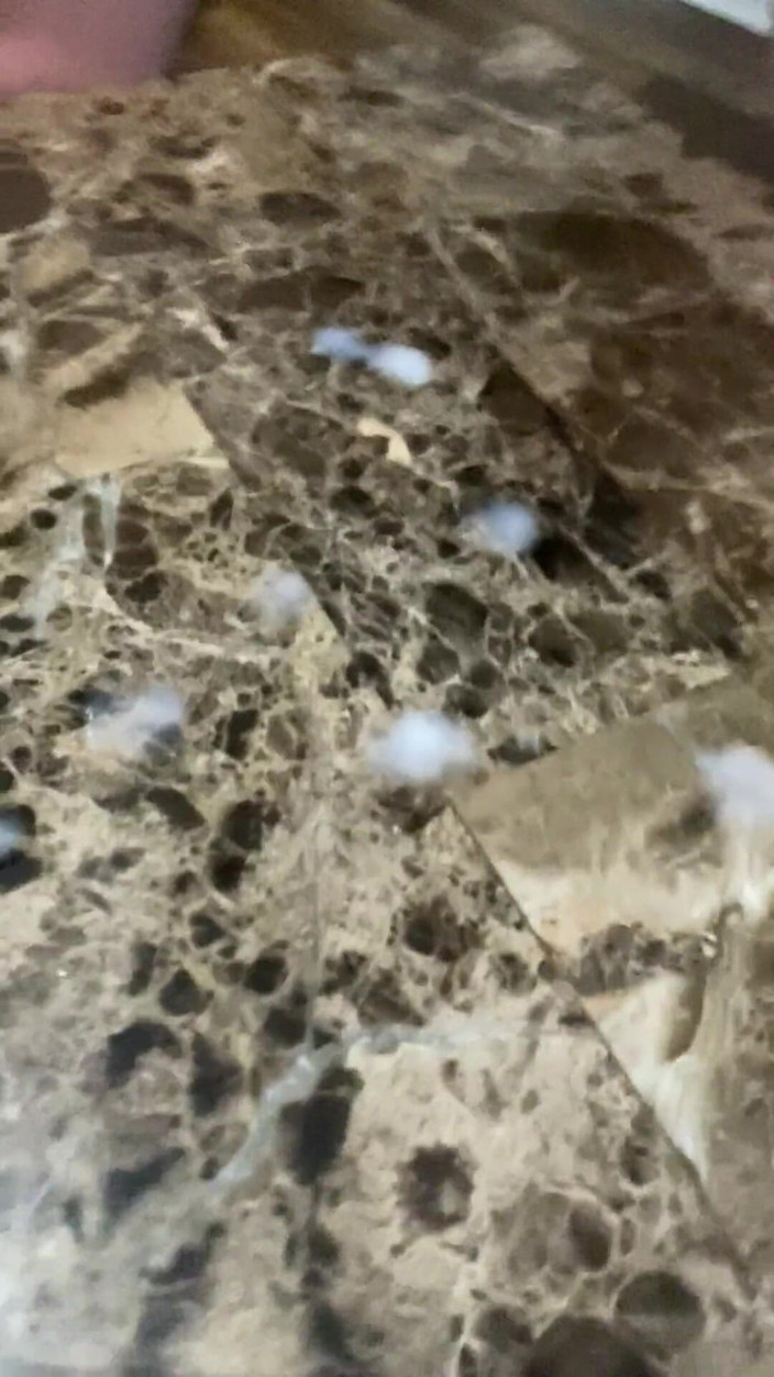 RealBigDill: आपको लंड की भूखी वेश्याओं और वीर्य की प्यासी वेश्याओं को खिलाना बड़ा लंड