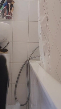 Zasedání