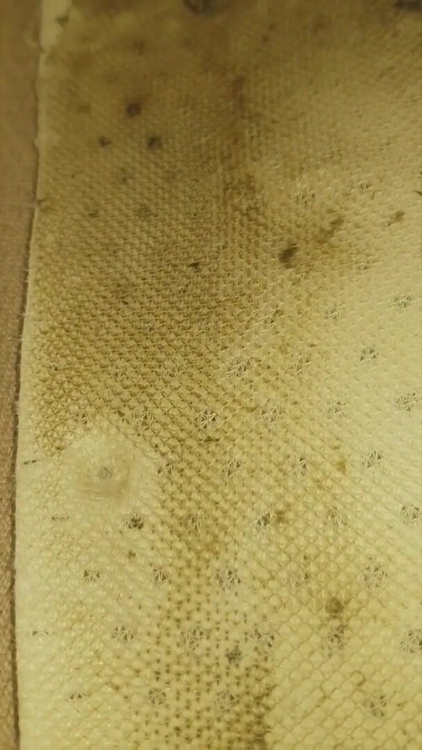 Simp to my ebony feet: 快来看看我那肮脏的3天穿运动鞋