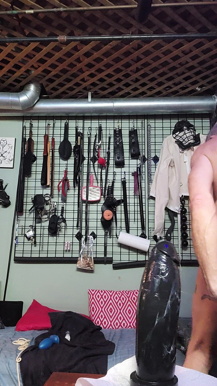 City hog: Большой