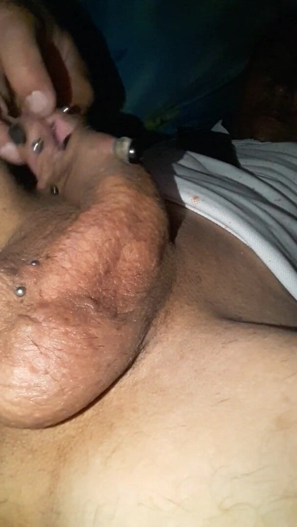 Renoreis: Pengenalan.
