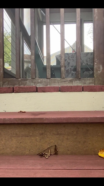 TheSatyrBoy: Трахаю іграшку, поки я не відтрахаю порцію сперми