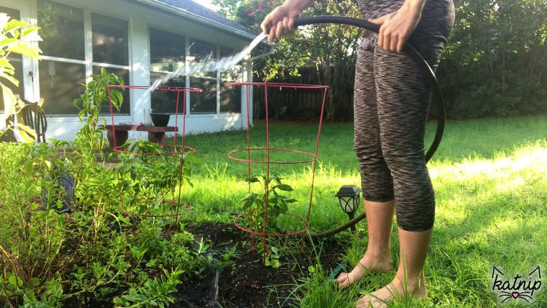 kactus kutie: ガーデニングは足裏に良い 2