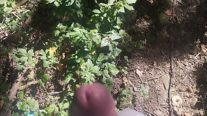 Bayer911: Bayer část 153