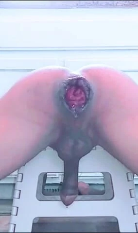 Cocklover247: 张开的菊花