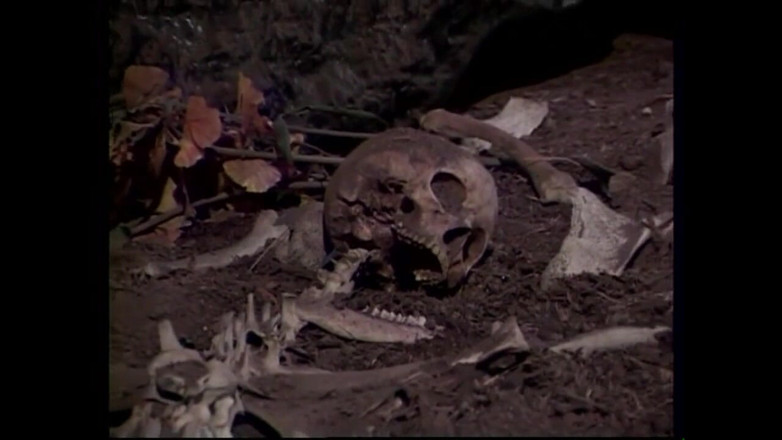 Full Movie XXX: Mundo de la lujuria