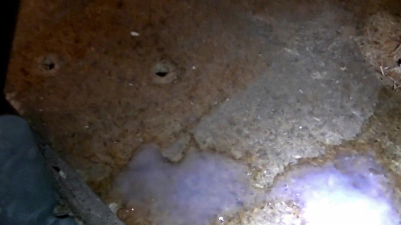 Mark Hannes: Fleshlight Creampie scopa