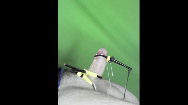 Bestmaleorgasm: 트립하세 분화